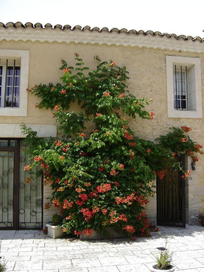 Mas Solige Carpentras Exterior photo